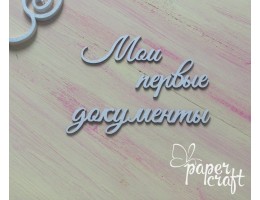 Мої перщі документи N-050 (95*72 мм) Мої перщі документи N-050 (95*72 мм)